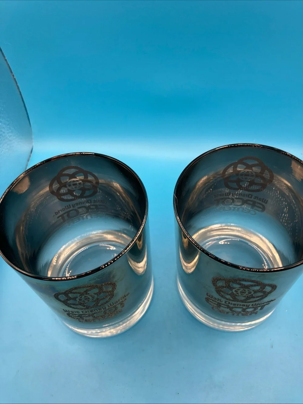 Walt Disney World Epcot Center Mirror Ombre Souvenir Tumbler Glasses vintage